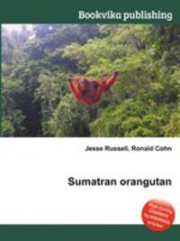Sumatran orangutan
