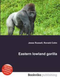 Eastern lowland gorilla