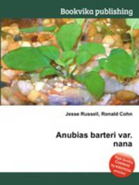 Anubias barteri var. nana