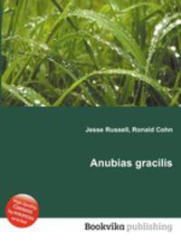 Anubias gracilis