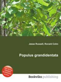 Populus grandidentata