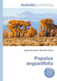 Populus angustifolia