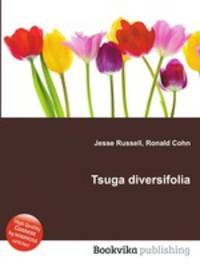 Tsuga diversifolia