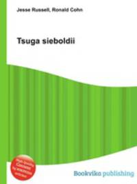 Tsuga sieboldii