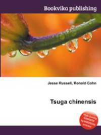 Tsuga chinensis