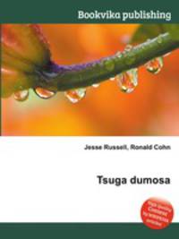 Tsuga dumosa