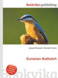 Eurasian Nuthatch