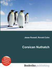 Corsican Nuthatch