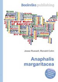 Anaphalis margaritacea