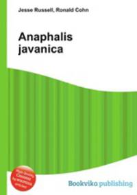 Anaphalis javanica