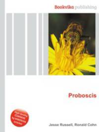 Proboscis