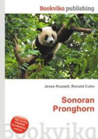 Sonoran Pronghorn