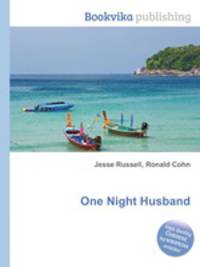One Night Husband