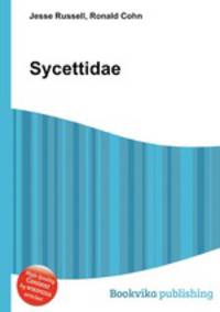 Sycettidae