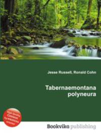 Tabernaemontana polyneura