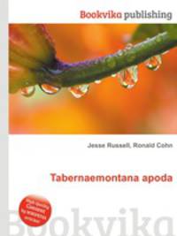 Tabernaemontana apoda