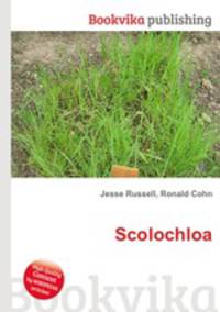 Scolochloa