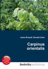 Carpinus orientalis