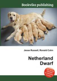Netherland Dwarf