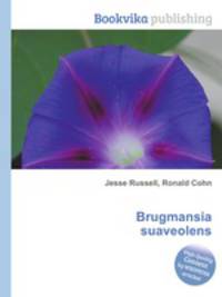 Brugmansia suaveolens