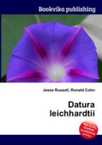 Datura leichhardtii
