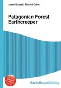 Patagonian Forest Earthcreeper