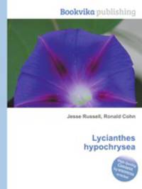 Lycianthes hypochrysea