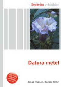 Datura metel