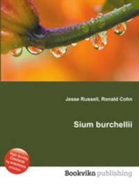 Sium burchellii