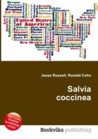 Salvia coccinea