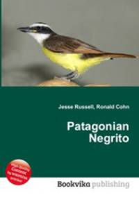 Patagonian Negrito