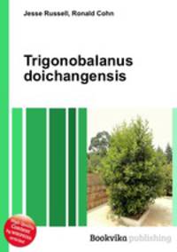 Trigonobalanus doichangensis