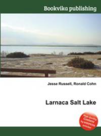 Larnaca Salt Lake