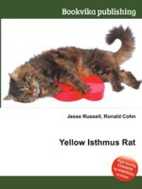 Yellow Isthmus Rat