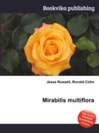 Mirabilis multiflora