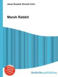 Marsh Rabbit