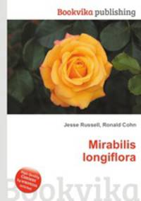 Mirabilis longiflora