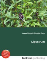 Ligustrum