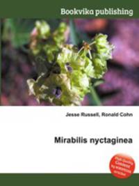 Mirabilis nyctaginea