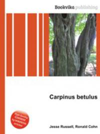 Carpinus betulus