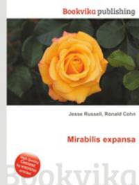Mirabilis expansa