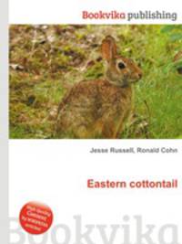 Eastern cottontail