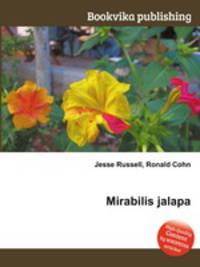 Mirabilis jalapa