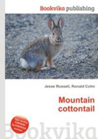 Mountain cottontail