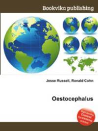 Oestocephalus