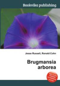 Brugmansia arborea