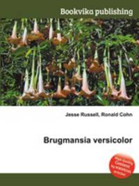 Brugmansia versicolor
