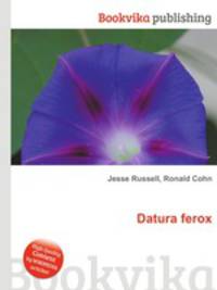 Datura ferox