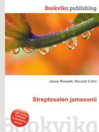 Streptosolen jamesonii