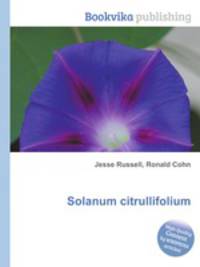 Solanum citrullifolium